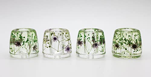 N&N Find Japan Japanese Toothbrush Holder Stand with Real Flower in Acrylic (Star Purple) - color: Star Purple