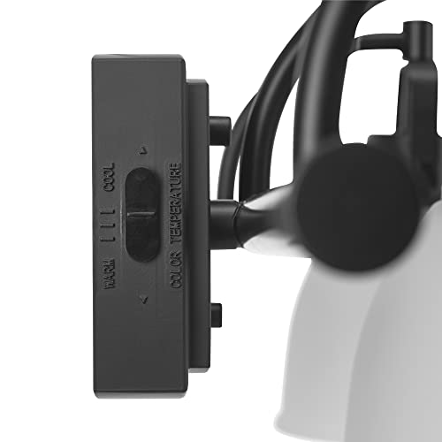 Globe Electric 52090 Gilroy 3-Light 25W Integrated LED Vanity Light with Selectable Color Temperature, Matte Black, Frosted Glass Shades, 1780 Lumens, 3000K-4000K-5000K Switch, Energy Star Certified - color: Matte Black, Frosted Glass