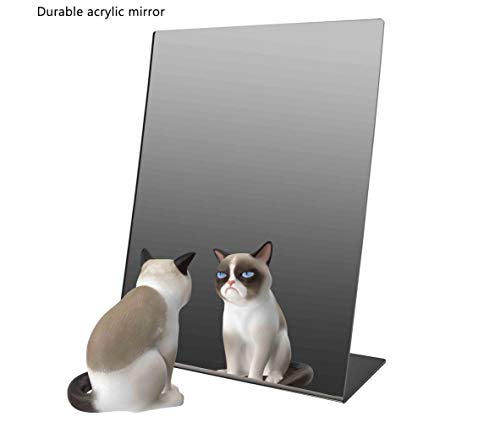 Marketing Holders Acrylic Easel Mirror 9" x 12" Slant Back Portable Plexiglass Countertop L Shaped Stand Perfect for Professional and Home Use Makeup or Hair Styling - size: 12"L x 9"W