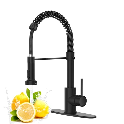 Kitchen Faucet with Pull Down Sprayer, Single Handle Pull Down Spring Sink Faucet, 1 Hole or 3 Hole Dual Function Sprayer for Farmhouses, Utility Rooms, RV's and Bars - color: Matte Black, style: Spring