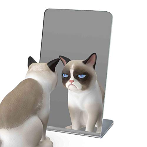 Marketing Holders Acrylic Mirror Slanted Back Counter Top Stand 3 x 5 Unframed Small Vanity Jewelry Makeup Retail Salons or Home Mirrors - size: 5"L x 3"W