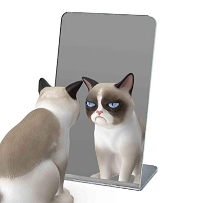 Marketing Holders Acrylic Mirror Slanted Back Counter Top Stand 3 x 5 Unframed Small Vanity Jewelry Makeup Retail Salons or Home Mirrors - size: 5"L x 3"W