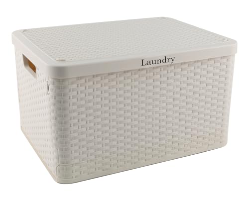 Laundry Hamper with Lid, Plastic Laundry Baskets, Dirty Clothes Hamper, Hampers for Bedroom and Bathroom, Large Capacity Clothing Storage Bin for Closet Organization, Space Saving Design