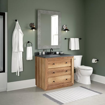 Peerless PA547-BL Precept Double Towel Hook, Matte Black