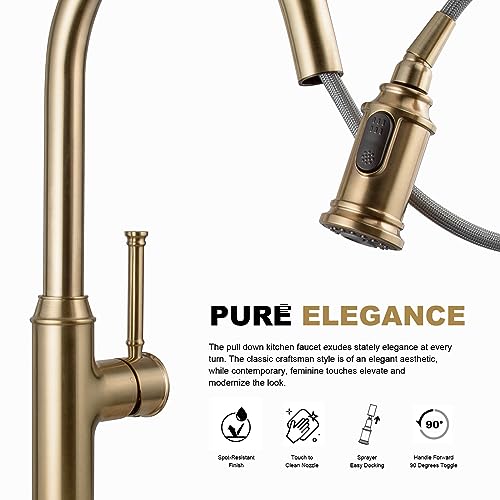 Lava Odoro Champagne Gold Kitchen Faucet with Pull Down Sprayer | Single Handle Kitchen Sink Faucet, Gold Faucet for Kitchen Sink 1 Hole, Deck Plate Included, KF421-CB - color: Champagne Gold, style: Standard