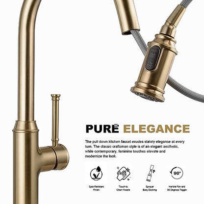 Lava Odoro Champagne Gold Kitchen Faucet with Pull Down Sprayer | Single Handle Kitchen Sink Faucet, Gold Faucet for Kitchen Sink 1 Hole, Deck Plate Included, KF421-CB - color: Champagne Gold, style: Standard