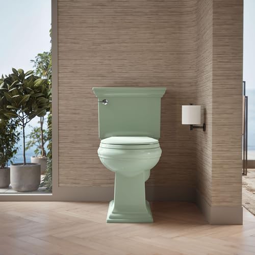 Kohler K-4662 Lustra Q2 Round Closed-Front Toilet Seat with Quick-Release and Qu, Seafoam Green