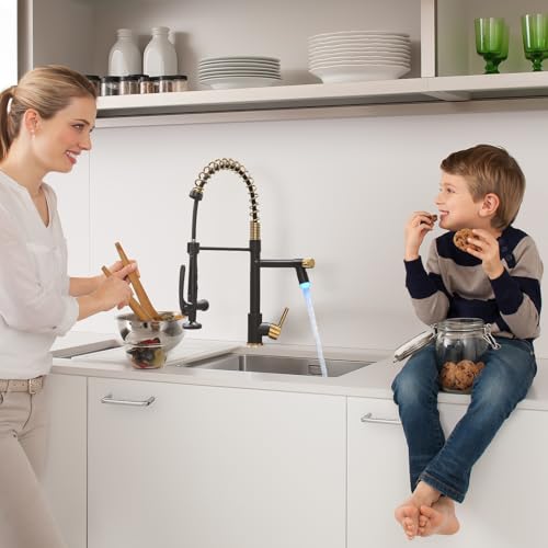 Fapully LED Kitchen Faucet with Pull Down Sprayer,Black&Gold | Commercial Kitchen Faucet for Kitchen Sink - color: Black&Gold, style: Modern