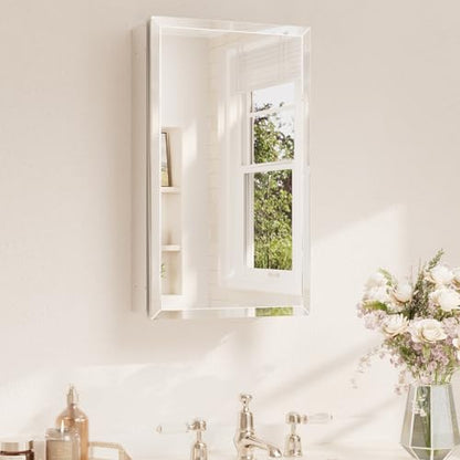 TETOTE 14 x 24 Medicine Cabinet with Tempered Beveled Mirror Silver Aluminum Cabinet DTC Hinges, Stepless Adjustable Shelves, Recessed/Surface-Mounted - color: Silver, size: 24"L x 14"W