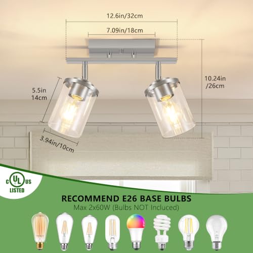 FadimiKoo 2-Lights Brushed Nickel Kitchen Track Lighting Fixtures Ceiling Mount, Adjustable Hallway Light Fxitures with Clear Glass Shade, Modern Spotlight Fixtures for Living Room Foyer Stairway - color: Brushed Nickel, size: 2-Lights