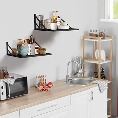 Tectocker-DOU 2 Pc Deep Floating Wall Shelves, Heavy Duty, 16x12, Black | Easy Install, All Hardware Included. Holds 40 Lbs. Easy-Clean. For Living Room, Kitchen, Bathroom, Bedroom, Office. - color: Black, size: 16W×12D