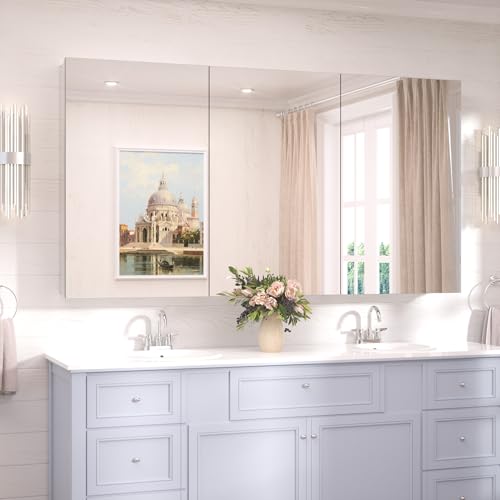 TokeShimi 60 x 32 Farmhouse Medicine Cabinet Recessed or Surface Mount Aluminum, Mirror with Stepless Adjustable Storage, Silver Bathroom Mirror Medicine Cabinet Frameless Metal Modern - color: Silver, size: 60x32 in