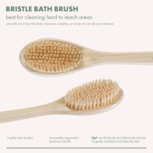 EcoTools Bristle Bath Brush, Shower Body Brush with Gentle, Stiff Bristles, Long Bamboo Handle, Gently Exfoliating for Back & Body, Stimulates Blood Circulation, Eco-Friendly, 1 Count (Pack of 2) - size: 1 Count (Pack of 2)