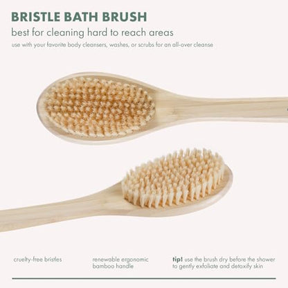 EcoTools Bristle Bath Brush, Shower Body Brush with Gentle, Stiff Bristles, Long Bamboo Handle, Gently Exfoliating for Back & Body, Stimulates Blood Circulation, Eco-Friendly, 1 Count (Pack of 2) - size: 1 Count (Pack of 2)