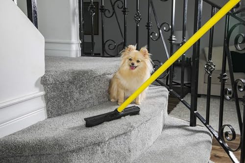 FURemover Pet Hair Removal Rubber Broom, 58" Telescopic Handle | Multi-Surface Rubber Broom with Built in Squeegee Edge, Sweeps up Fur, Hair, and Debris on Tile, Wood, Vinyl, and Carpet - size: 58" Telescopic Handle
