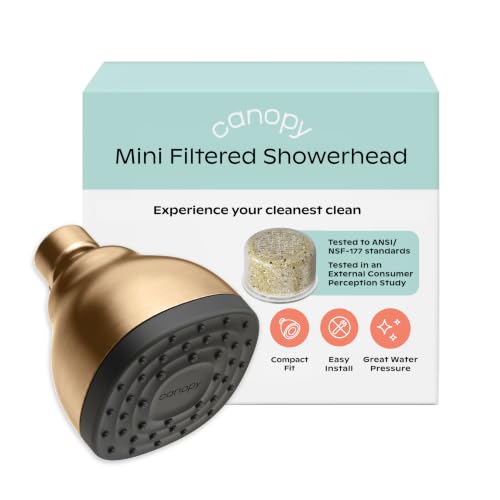 Canopy Mini Filtered Shower Head - Compact Filter for Hard Water - Brass - color: Brass, size: Mini
