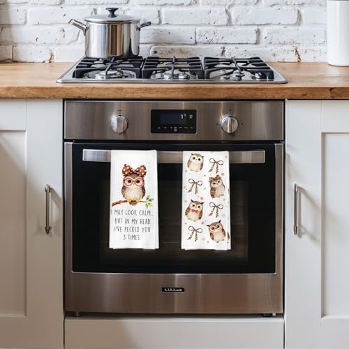 Owl Gifts Kitchen Towels Set - Owl Leopard Bow Decorative Waffle Dish Towels, Funny Bird Gifts Hand Towel, Bird Watching Gift Tea Towel, 16x24 Inch Set of 2 - color: Owl