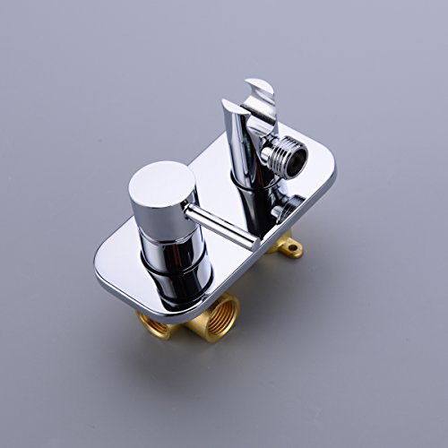 TRUSTMI Toilet Concealed Hot and Cold Hand Held Bidet Sprayer Set, Chrome | Brass Rough-In Valve, Wall Mount, Warm Water Diaper Shattaf Bidet Attachment - color: Chrome