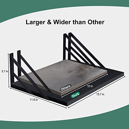 Tectocker-DOU 2 Pc Deep Floating Wall Shelves, Heavy Duty, 16x12, Black | Easy Install, All Hardware Included. Holds 40 Lbs. Easy-Clean. For Living Room, Kitchen, Bathroom, Bedroom, Office. - color: Black, size: 16W×12D