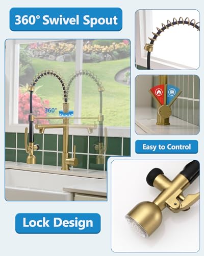 Fapully High Arc Brushed Gold Pull-Down Kitchen Faucet with LED Sprayer | Kitchen Sink Faucets with Pull Down Sprayer,Dual Spray Modes, Commercial Grade,Single Handle Single Hole Design - color: Brushed Gold, style: Modern