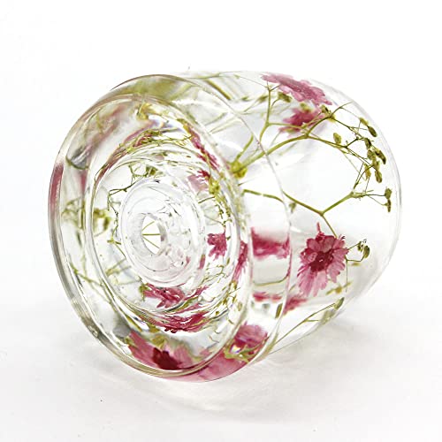 Japanese Toothbrush Holder Stand with Real Flower in Acrylic (Star Pink) (NNFHTF-SPK) - color: Star Pink