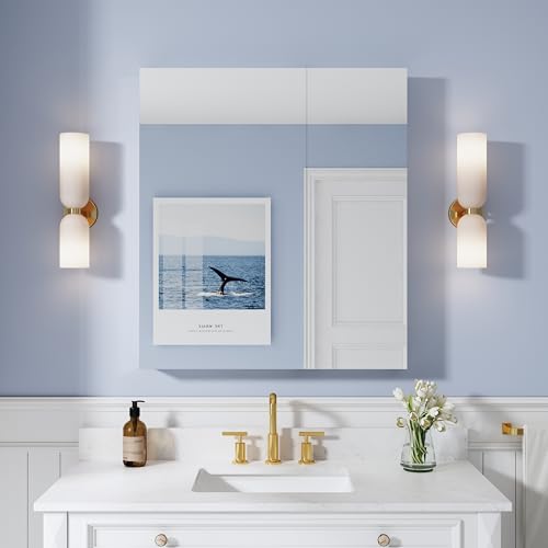 32" x 36" Bathroom Medicine Cabinet with Mirror, Anodized Chrome Aluminum Frame, Surface Mount or Recessed Medicine Cabinet with Mirror, Bathroom Mirror with Storage, Double Doors - size: 32"x36"-A