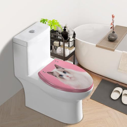Elongated Toilet Seat Portrait beautiful purebred ragdoll cat blue eyes looking camera her Resin Toilet Seat Slow Quiet Close with Quick-Release Hinges Toilet Seat with Cover Easy to Clean Install - color: Multi7, size: 19.5"x14.5"