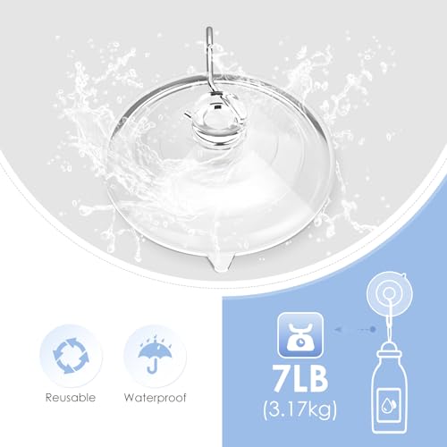 Hangerspace Suction Cup Hooks, Removable Large Suction Cups, Clear, 8 Pack | 2.5 In, with Rustproof Metal Hooks, Detachable, Leave No Trace, for Kitchen Shower Wall Window Glass Door, Fits Any Decor - size: Large