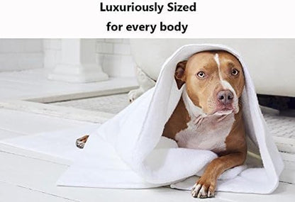 Feather & Stitch 100% Cotton 625 GSM Bath Towel Set of 6, Ultra Soft Highly Absorbent 2 Bath Towels, 2 Hand Towels & 2 Washcloth - Luxury Quick Dry Shower Towels (Grey) - color: Grey