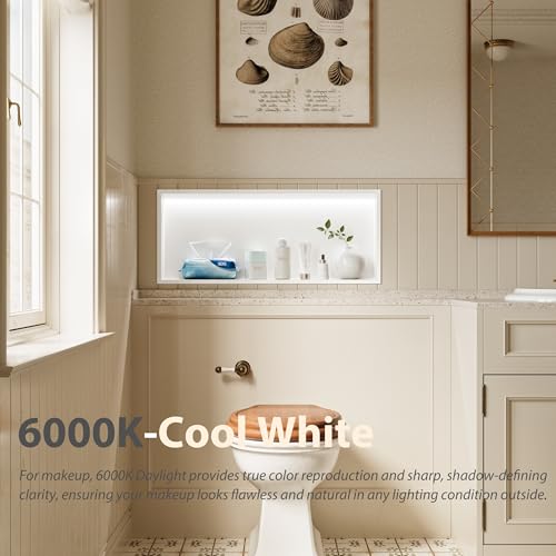 Qeke 30" X 12" Stainless Steel Shower Niche w/ 3 CCT Dimmable Light, White | No Tile Needed Wall Niche, Recessed Niche w/ Light(3000K/4000K/6000K), IP66 Waterproof, Space Saving & Durable - color: Matte White, size: 30" X 12"