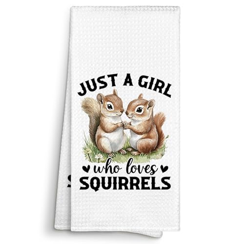 Just a Girl Who Loves Squirrels Kitchen Towels Decorative Gifts for Squirrels Lovers Women 16x24, Squirrel Dish Towel Cloths Dishcloths Tea Towel, Funny Bathroom Kitchen Hand Towel Decor - color: Squirrels