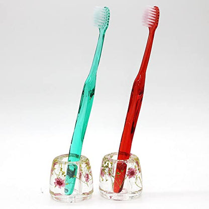 Japanese Toothbrush Holder Stand with Real Flower in Acrylic (Star Pink) (NNFHTF-SPK) - color: Star Pink