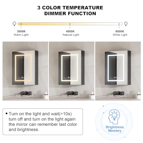 Black Medicine Cabinet with Led Lights,Lighted Medicine Cabinet with Mirror,Mirror Cabinet with 3 Storage Shelf Wall Mounted, Medicine Cabinet with Defogger,24x30Inch - size: 24x30-Black