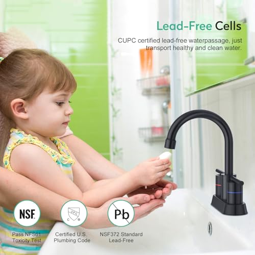 Faustina Matte Black Bathroom Faucet, 4 Inch Centerset Bathroom Faucets for Sink 2 Hole 3 Holes，Two Handles 304 Stainless Steel Faucet with Pup up Drain and 2 cUPC Water Supply Lines for RV Vanity - color: Black, style: Modern Centerset