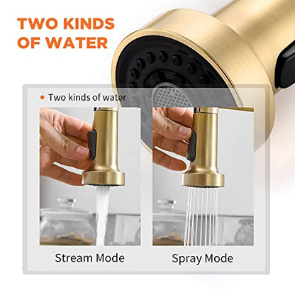Kitchen Faucet Pull Down Sprayer, Stainless Steel, Brushed Gold | Stainless Steel NSF Certified,1 Handle Faucet,Farmhouse Camper Laundry Utility Rv Wet Bar Sinks,Deck Plate 1,3 Hole - color: C - Brushed Gold