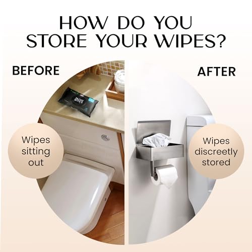 Day Moon™ - Toilet Paper Holder with Shelf - Modern Roll Holder for Bathroom - 1 Pack - Wall Mount - with Storage, Brushed Nickel - color: Brushed Nickel