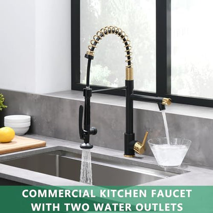 Fapully Black&Gold Kitchen Faucet with Sprayer,Commercial Pull Down | Kitchen Faucet for Kitchen Sink, 360 Swivel Sinlge Handle Single Hole - color: Black&Gold, style: Classic
