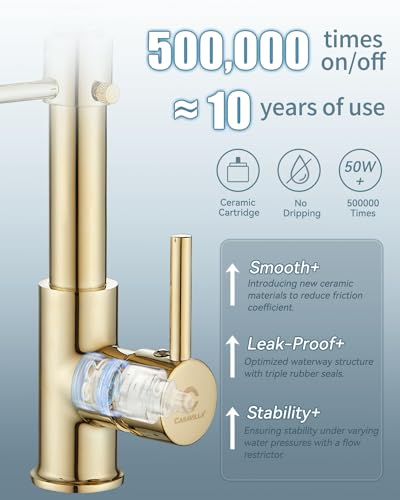 Kitchen Faucet, Commercial Kitchen Sink Faucets with Pull Down Sprayer, Stainless Steel Faucets for Kitchen Sinks, Dual Function Spray Head, Single Handle Spring Kitchen Faucets -Gold - color: D-PVD Gold, style: Classic