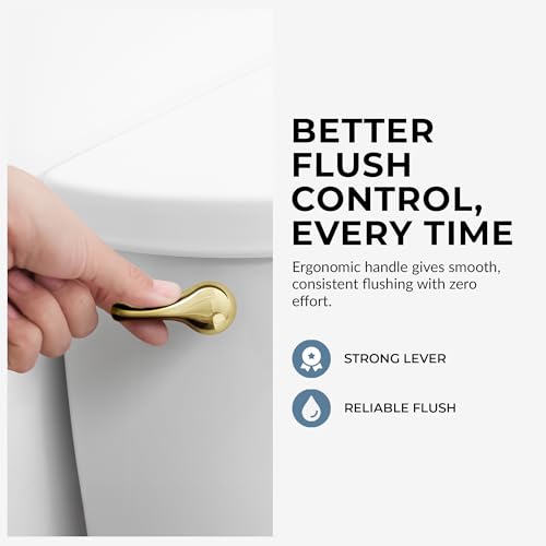 Qualihome Polished Brass Finish Side Mount Toilet Handle Replacement Kit, Universal Toilet Tank Flush Lever Fits Most Standard Side-Mount Toilet Tanks - color: Brass Polished