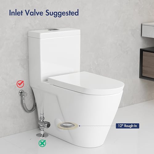One Piece Toilet Elongated Dual Flush, 17.3" ADA Seat, White | ADA Compliant 17.3" chair height with soft close seat, Dual flush 1.1/1.6 GPF, Elongated toilet bowl, 12" rough-in, White - color: White 365Model