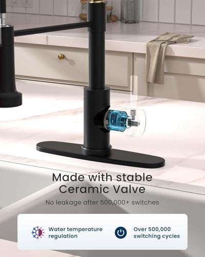 APPASO Black and Gold Spring Kitchen Faucet with Soap Dispenser | NSF/ANSI/CAN 372 & Lead-free, Commercial Single Handle High Arc Faucet for Farmhouse Camper Bar Sink Laundry Room - color: Black & Gold