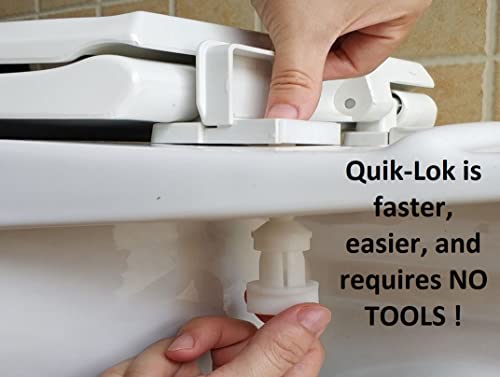 2Q1R6-81 Deluxe Slow Close Plastic Toilet Seat with Vari-Adjust Lok-Down R'N'C Hinge and Quik-Lok Mounting Hardware, Round, Ice Gray - color: Ice Gray, style: Round