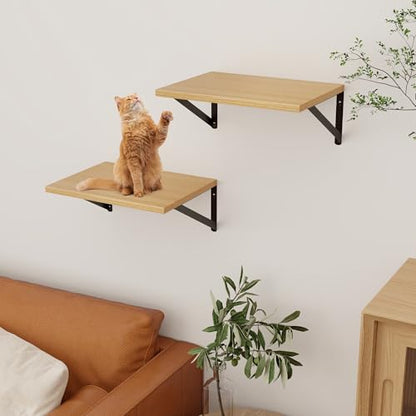 Deep Floating Shelves, 12 Inch Deep Rustic Oak Floating Wall Shelves Set of 2, 16W x 12D Large Floating Shelves Living Room Cleanning Room Laundry Room Garage - Oak with Black Brackets - color: Oak, size: 16W x 12D