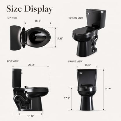 ELLAI Two Piece Elongated Toilets ADA Chair Comfort Height 17.24" Powerful Single Flush 1.28 GPF 12” Rough In with Side Trip Lever, Glossy Black 28.3"x17.2“x31"