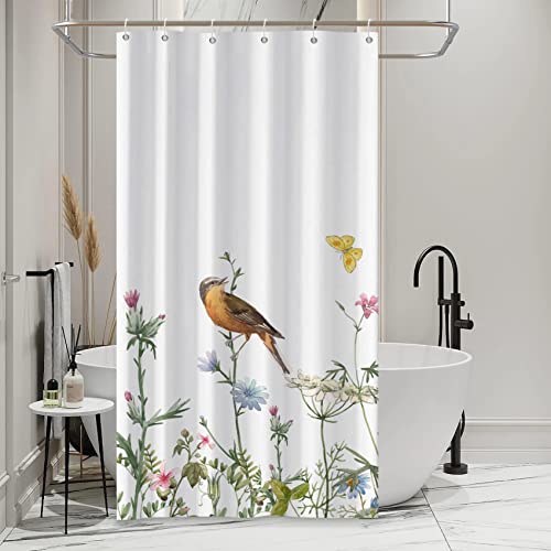 AWERT Small Half Size Stall Shower Curtain with 6 Hooks Funny Bird Shower Stall Curtain for Bathroom/RV and Camper (Bird) 36x72 inch - color: Bird, size: 36"W x 72"L (Pack of 1)