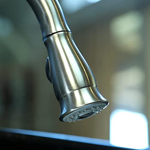 Danco Traditional Smart Spray Kitchen Sink Faucet Pull Down Faucet Spray Head, Stainless Steel, 1-Pack (10724) - color: Brushed Nickel