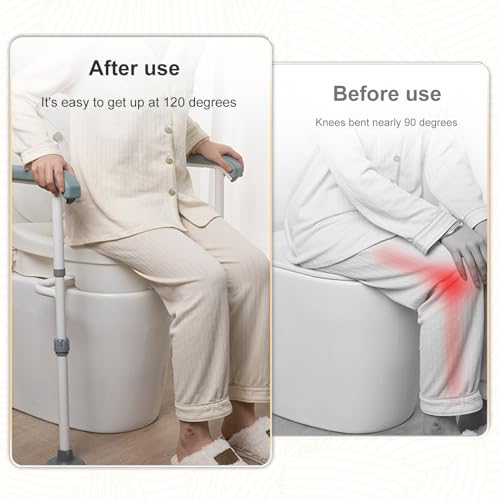 Raised Toilet Seat with Handles,Toilet Seat Riser for Seniors with Adjustable Padded Arm Handicap Elevated Toilet Safety Seat for Standard or Elongated Commode for Elderly Pregnant White
