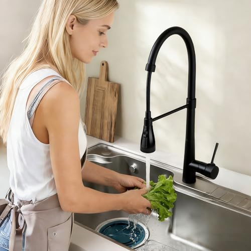MILD EAST Kitchen Faucet Head Replacement, Premium 3-Function Pull Down Spray Head with 9 Universal Adapters, Sink Faucet Head compatible with Moen, American Standard Faucets, Black