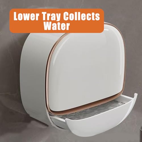 Wall Mounted Double-Layer Soap Dish with Drain Tray, No-Drill Adhesive Soap Holder for Bathroom and Shower, Removable ABS Plastic Soaps Bar Organizer, Keeps Soaps Dry and Clean (B-Light Green) - color: B-light Green