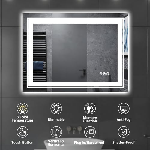 Snowdool 28 x 20 in LED Bathroom Mirror, Front and Backlit, Anti-Fog | Front and Backlit, Stepless Dimming, Anti-Fog, Memory Function - size: 28"L x 20"W